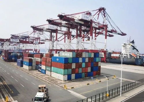 2021.02.26 輕松早茶 自營(yíng)與代理貨物及技術(shù)進(jìn)出口解析